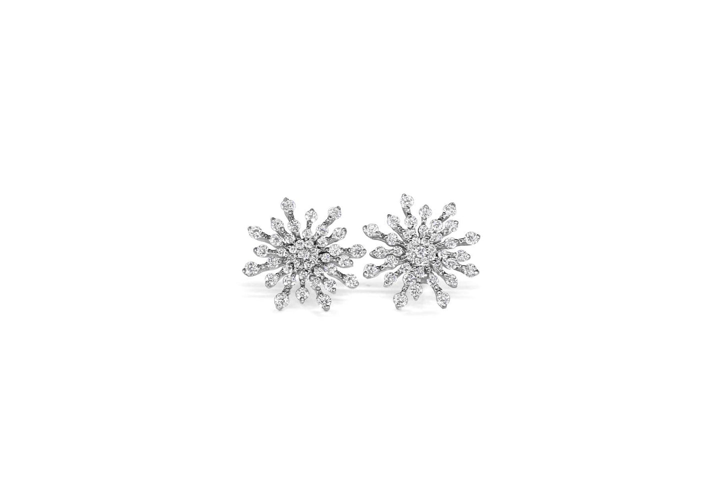 Earring - 4138