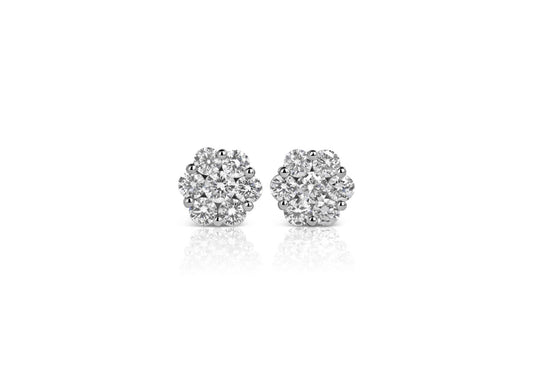 Earring - 6917