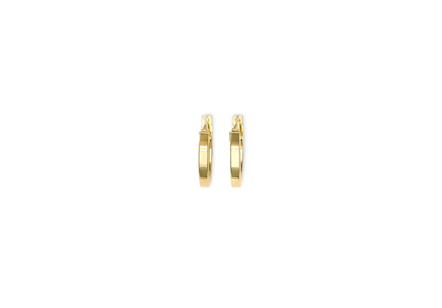 Earring - 807