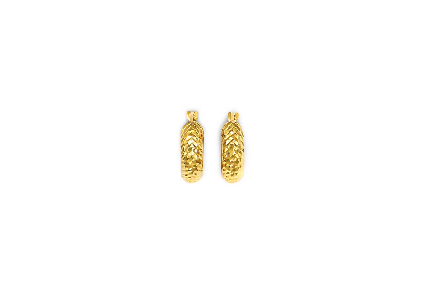 Earring - 8145