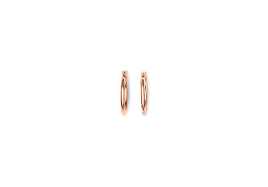 Earring - 8153