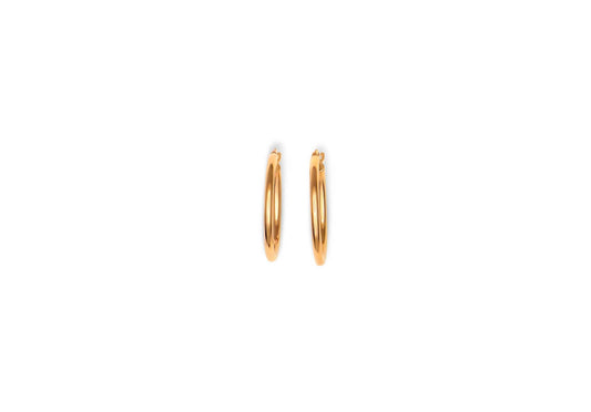 Earring - 8154