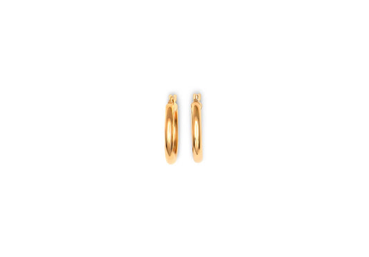 Earring - 8156