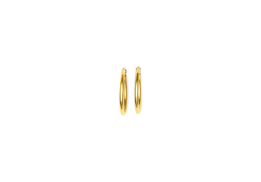 Earring - 8160