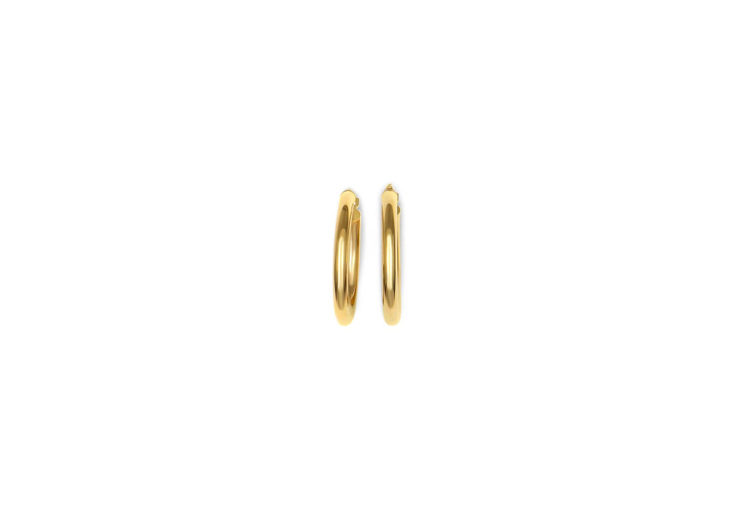 Earring - 8161