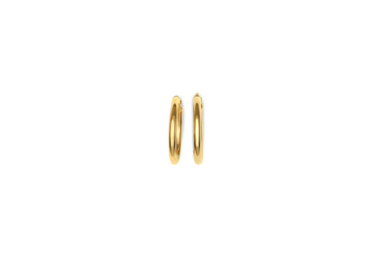 Earring - 8161