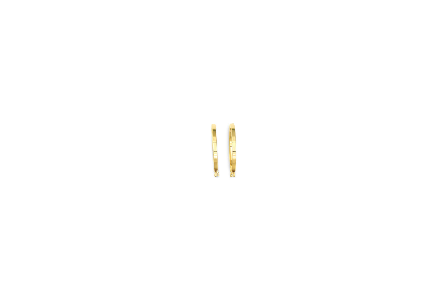 Earring - 8164