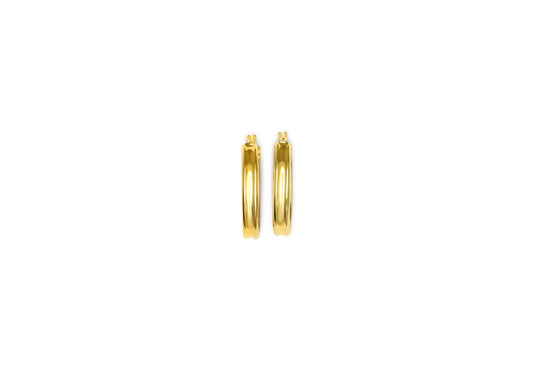 Earring - 8166