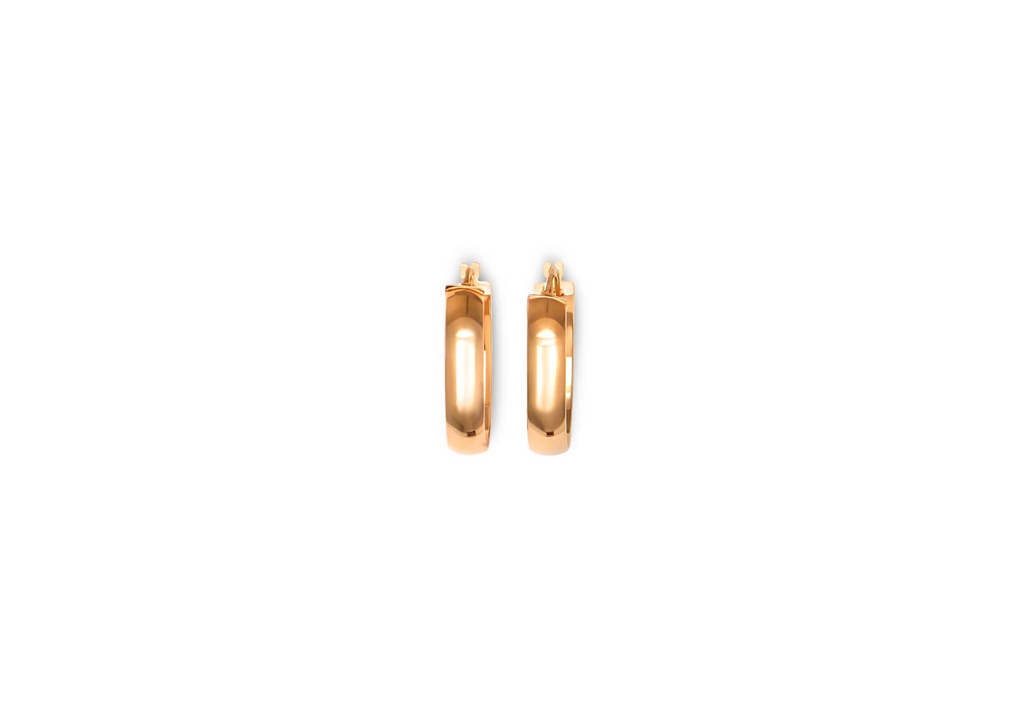 Earring - 8172