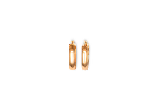 Earring - 8172
