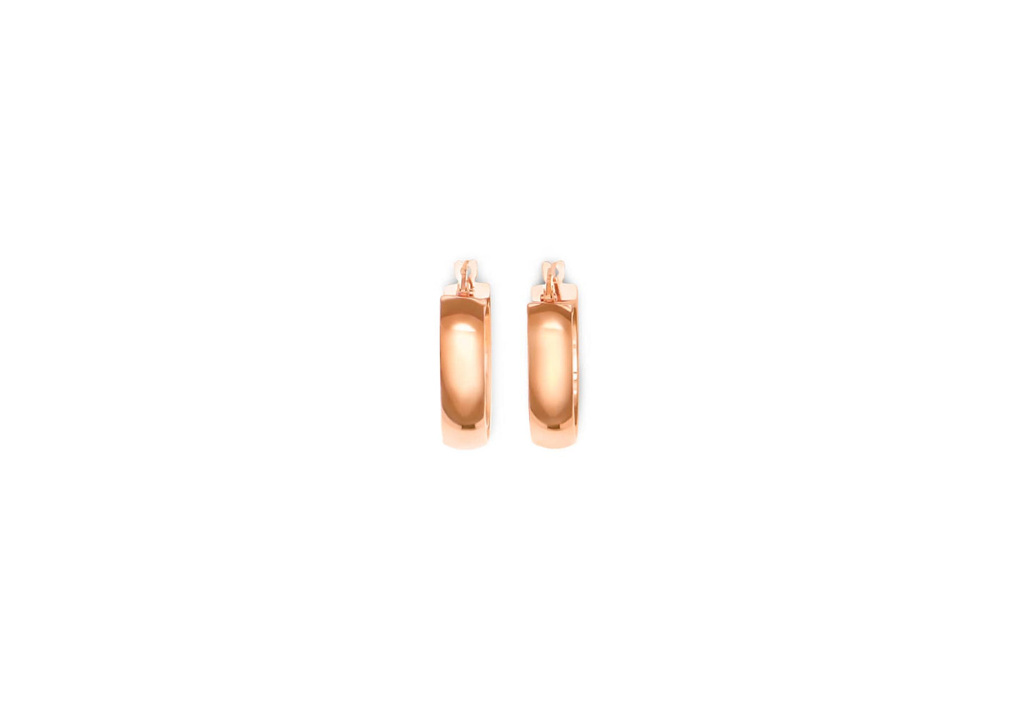 Earring - 8173