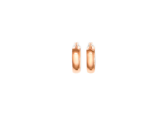 Earring - 8173