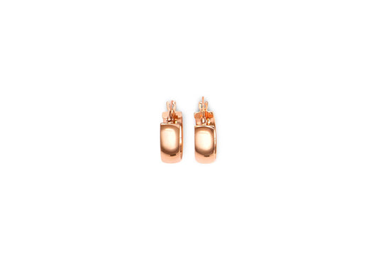 Earring - 8175