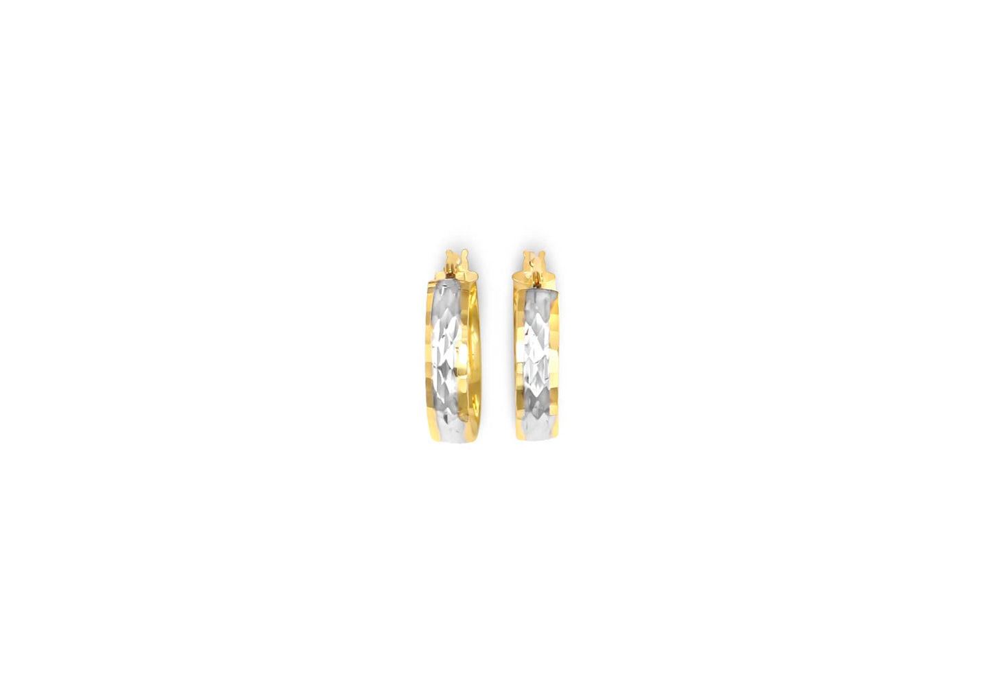 Earring - 8610