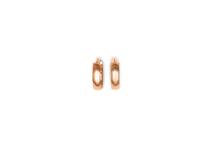 Earring - 8174