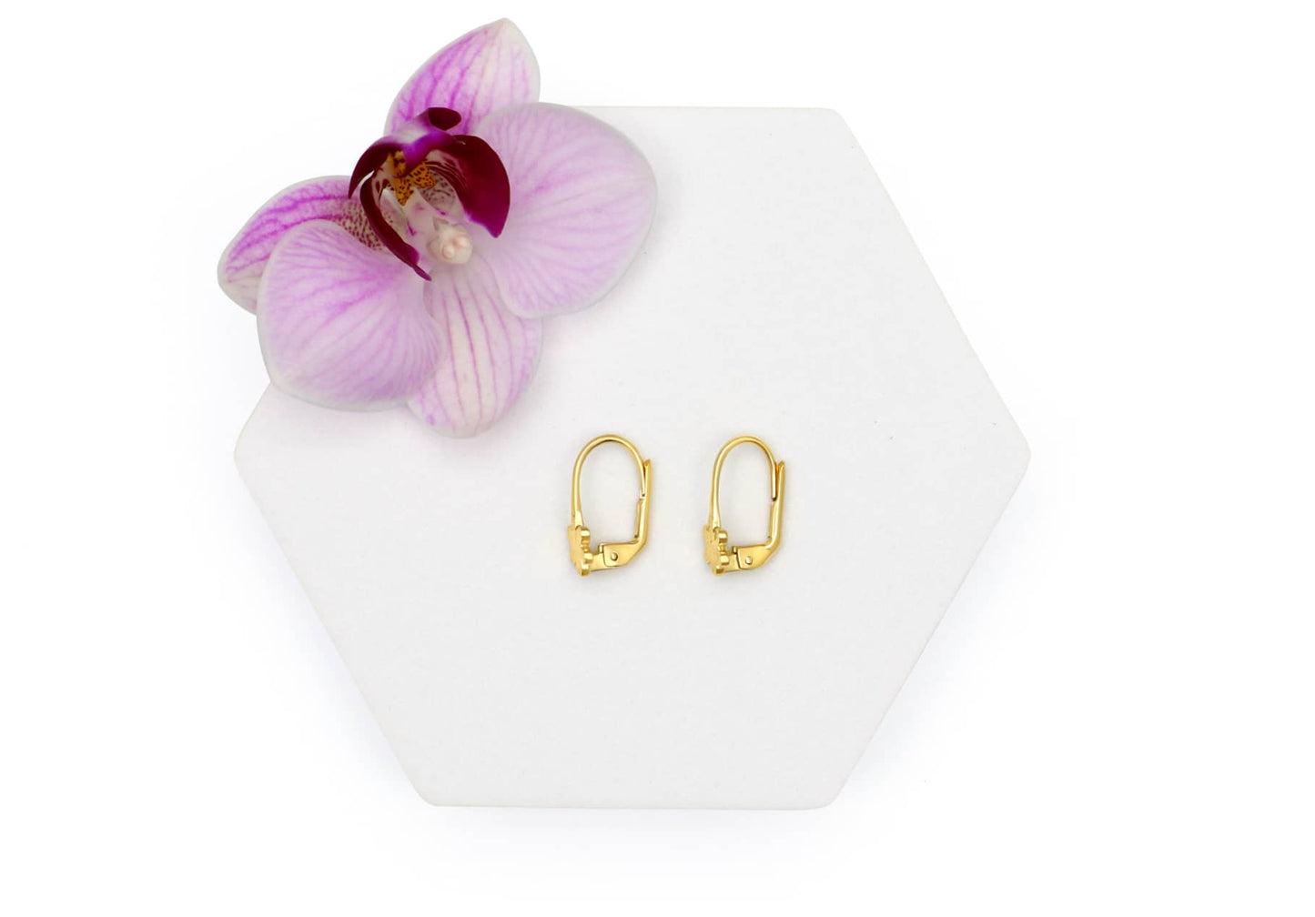 Earring - 8675