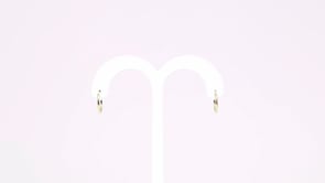Earring - 8595 (New!)