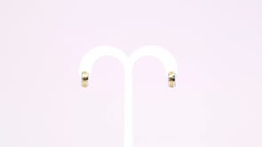 Earring - 8611 (New!)
